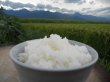 画像4: 令和3年収穫 長野県安曇野産 農薬不使用　「浅川さんちのお米」コシヒカリ (4)