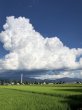画像3: 令和6年産 信州安曇野産 「浅川さんちのお米　ファミリーパック」 コシヒカリ (3)