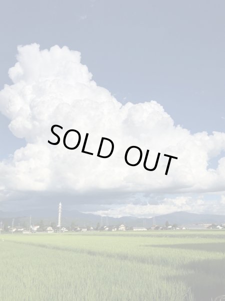 画像3: 令和6年産 信州安曇野産 「浅川さんちのお米　ファミリーパック」 コシヒカリ (3)