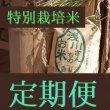 画像1: 【定期便予約受付開始】令和6年収穫 長野県安曇野産 特別栽培米「浅川さんちのお米」 コシヒカリ (1)