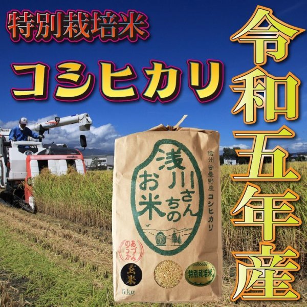 画像1: 令和5年収穫 長野県安曇野産 特別栽培米「浅川さんちのお米」 コシヒカリ (1)