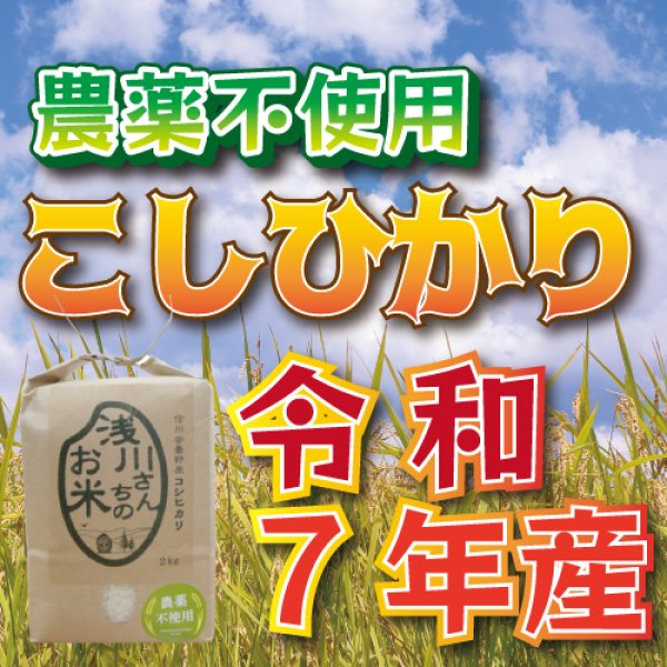画像1: 令和7年収穫 長野県安曇野産 農薬不使用　「浅川さんちのお米」コシヒカリ (1)