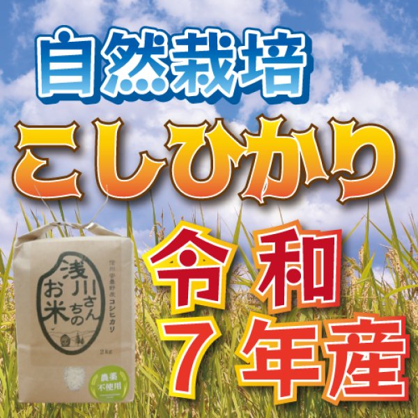 画像1: 令和7年収穫 長野県安曇野産 自然栽培　「浅川さんちのお米」コシヒカリ (1)