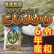 画像1: 令和6年産 信州安曇野産 「浅川さんちのお米　ファミリーパック」 コシヒカリ (1)