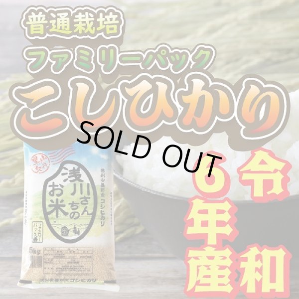 画像1: 令和6年産 信州安曇野産 「浅川さんちのお米　ファミリーパック」 コシヒカリ (1)