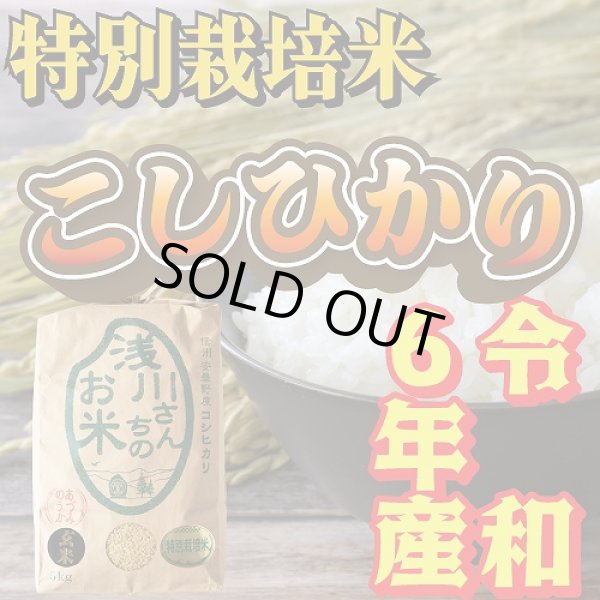 画像1: 令和6年収穫 長野県安曇野産 特別栽培米「浅川さんちのお米」 コシヒカリ (1)