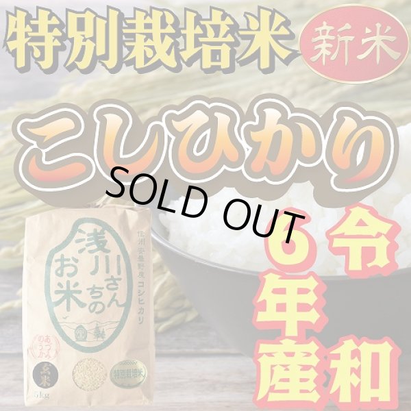 画像2: 令和6年収穫 長野県安曇野産 特別栽培米「浅川さんちのお米」 コシヒカリ (2)