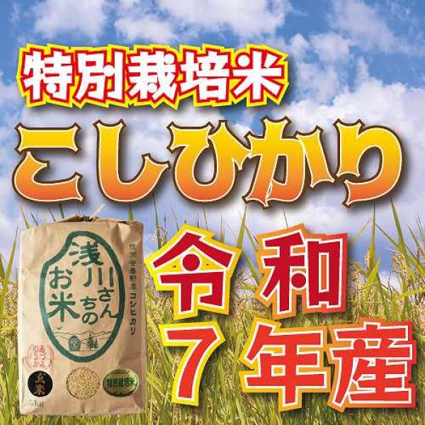 画像5: 【新米】令和7年収穫 長野県安曇野産 特別栽培米「浅川さんちのお米」 コシヒカリ (5)