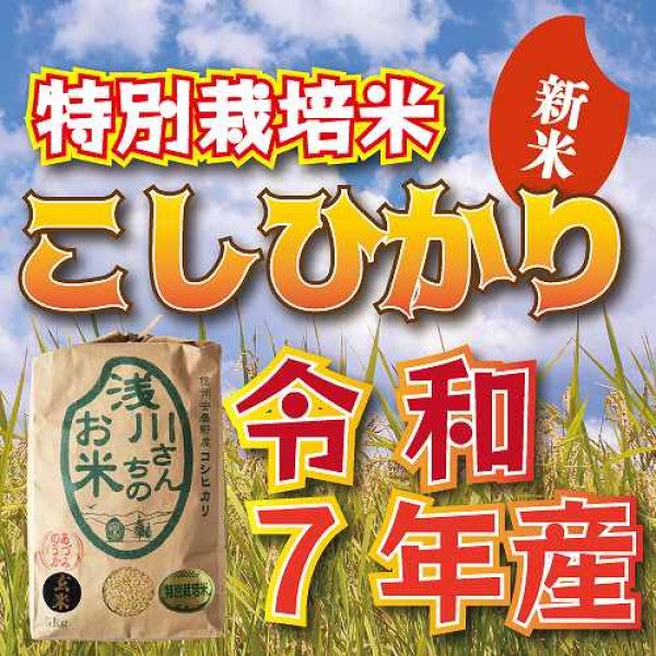 画像1: 【新米】令和7年収穫 長野県安曇野産 特別栽培米「浅川さんちのお米」 コシヒカリ (1)
