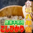 画像5: 令和8年収穫 長野県安曇野産 農薬不使用　「浅川さんちのお米」コシヒカリ (5)