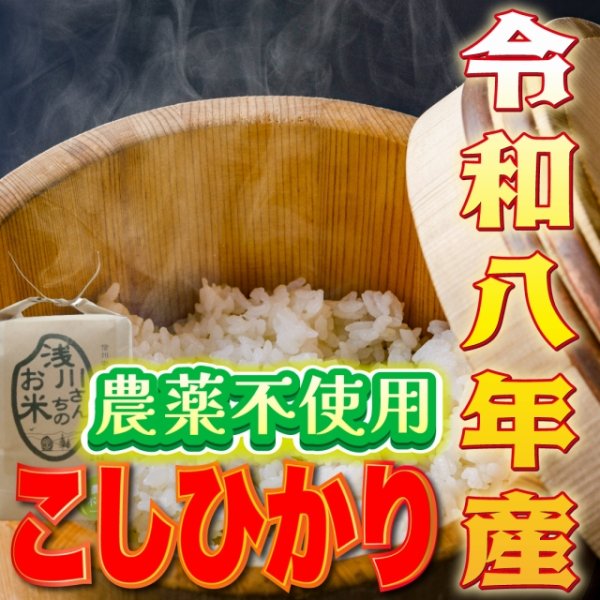 画像5: 令和8年収穫 長野県安曇野産 農薬不使用　「浅川さんちのお米」コシヒカリ (5)