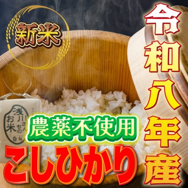 画像1: 令和8年収穫 長野県安曇野産 農薬不使用　「浅川さんちのお米」コシヒカリ (1)