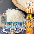 画像5: 令和8年収穫 長野県安曇野産 特別栽培米「浅川さんちのお米」 風さやか (5)