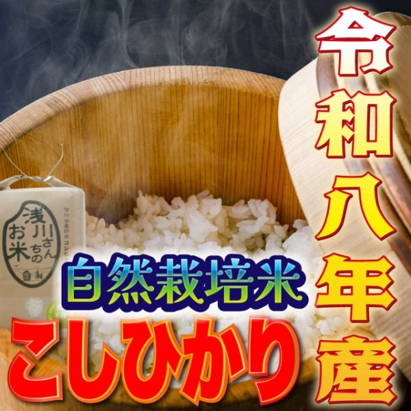 画像5: 令和8年収穫 長野県安曇野産 自然栽培　「浅川さんちのお米」コシヒカリ (5)