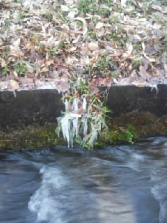 氷の芸術