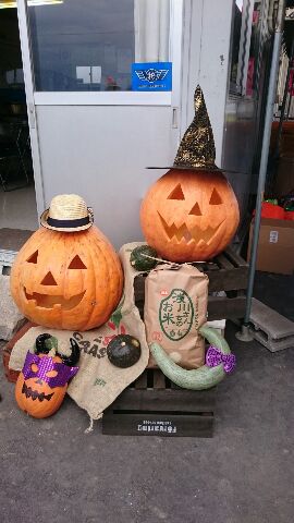 パッピーハロウィン！