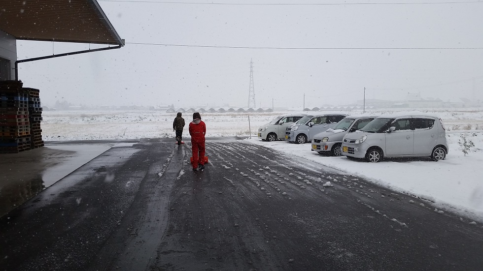 11月に積雪！