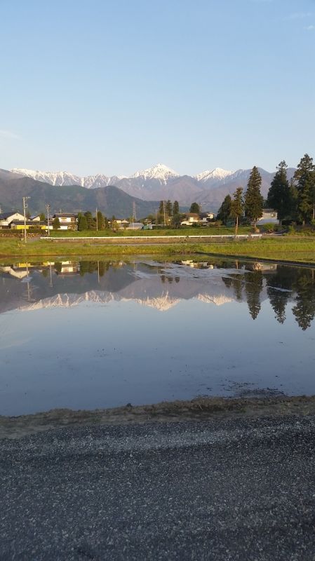 田植え開始