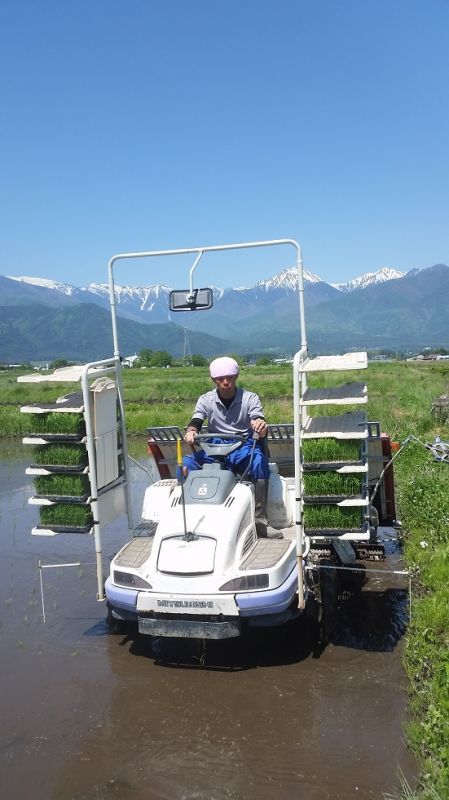 田植えも残りわずか