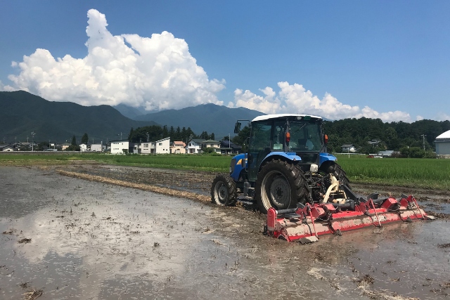 代掻き風景