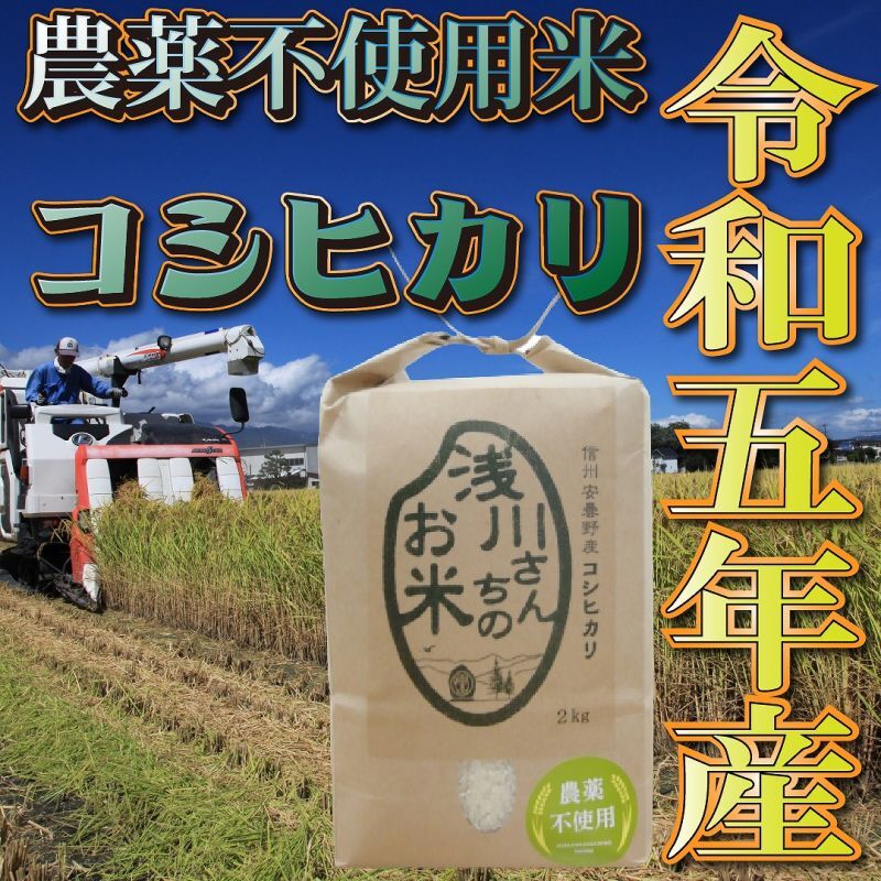 令和5年収穫 長野県安曇野産 農薬不使用　「浅川さんちのお米」コシヒカリ