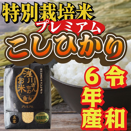 令和6年収穫 長野県安曇野産 特別栽培米「浅川さんちのお米プレミアム」 コシヒカリ