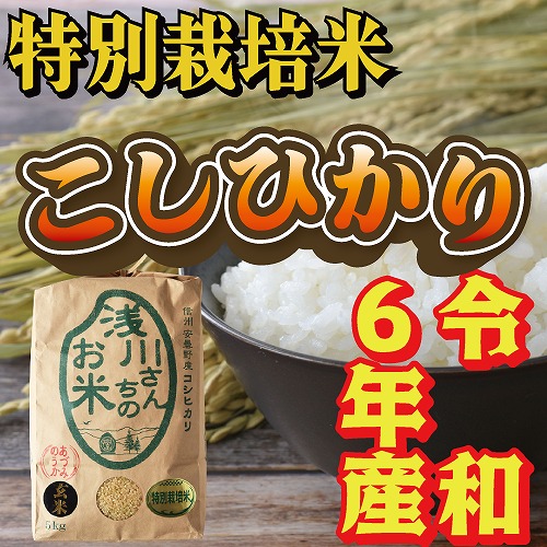 令和6年収穫 長野県安曇野産 特別栽培米「浅川さんちのお米」 コシヒカリ